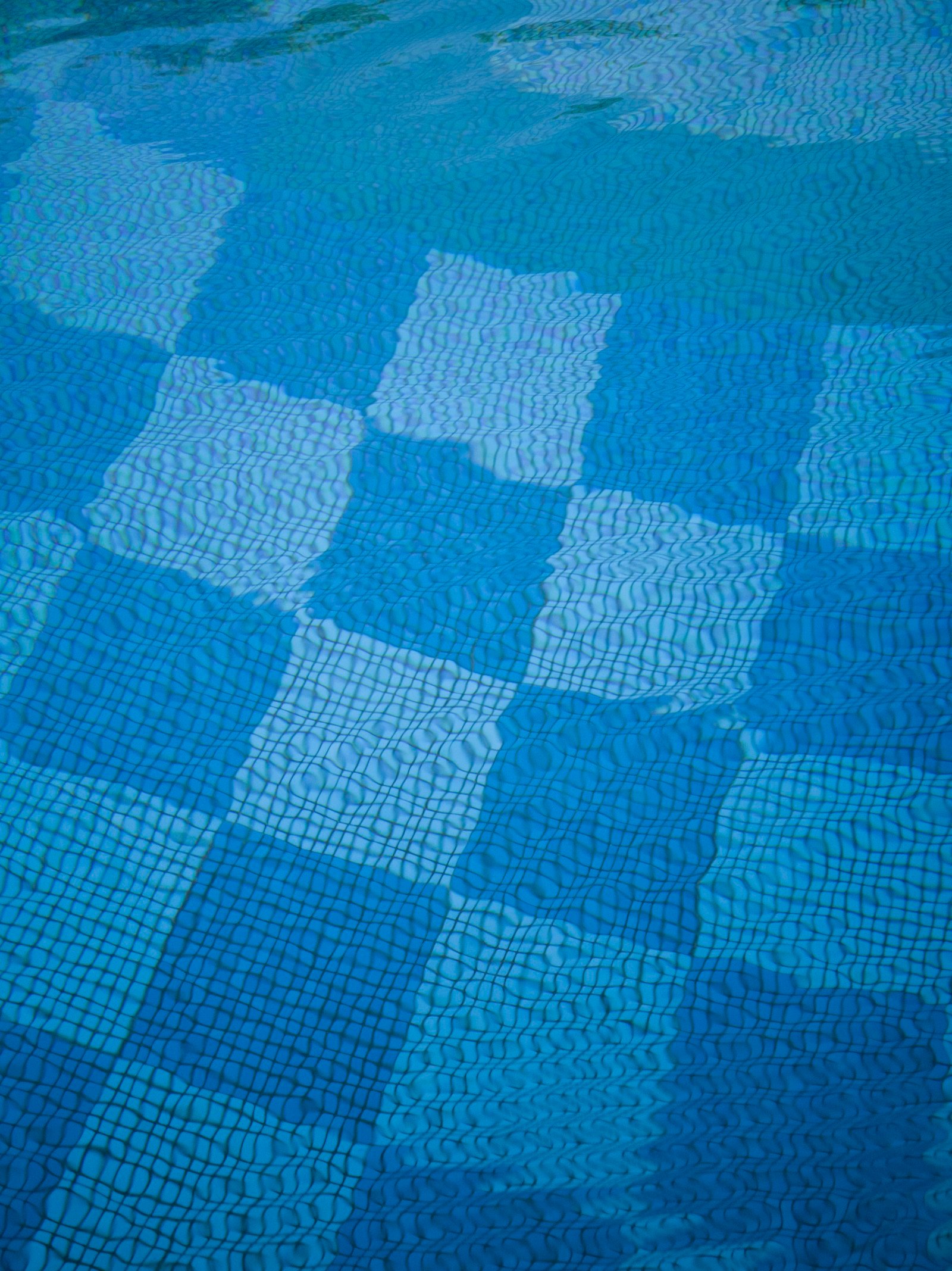 Blue and white checkered swimming pool tiling in Bayside Melbourne