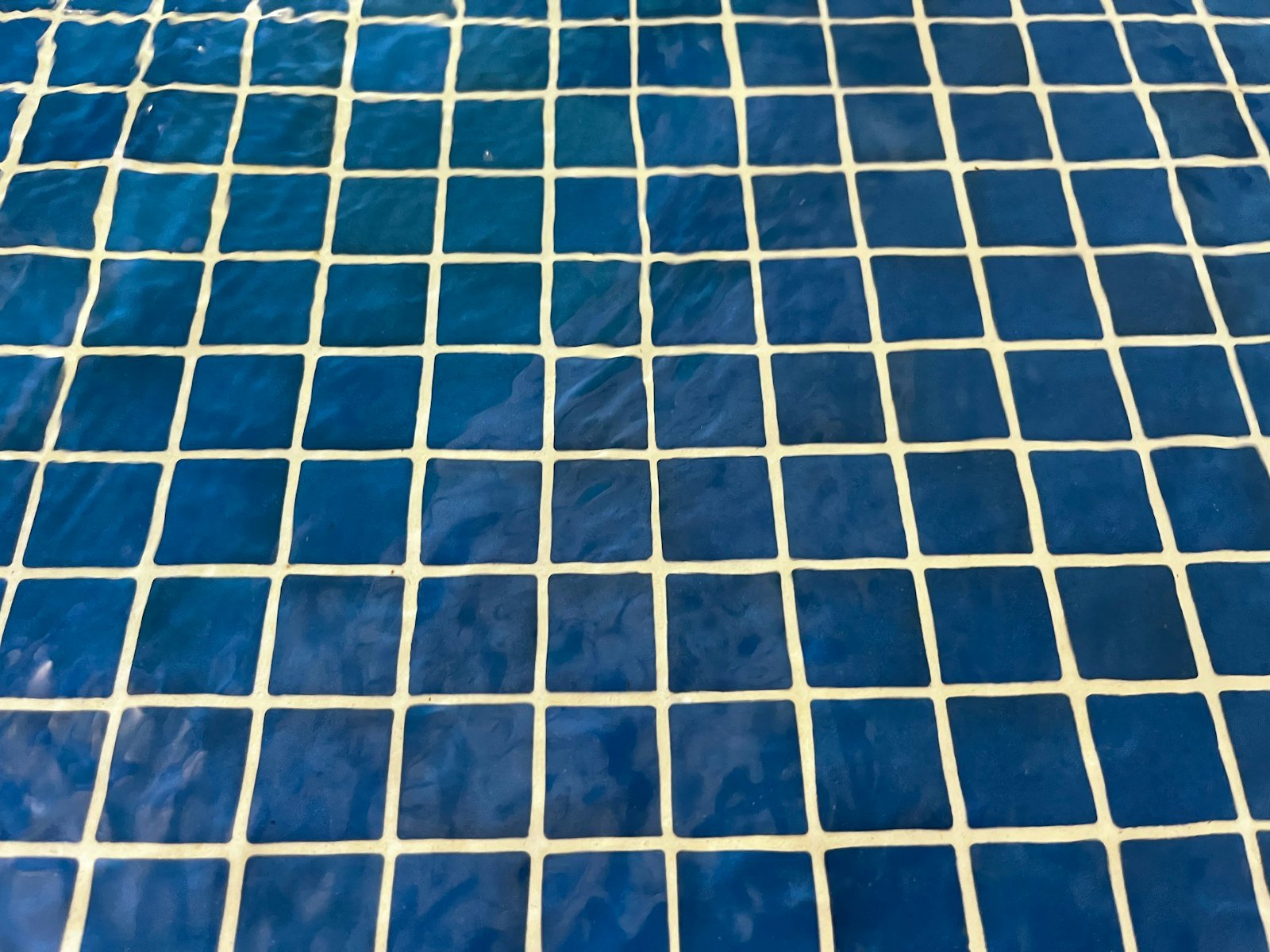Close-up of blue and white mosaic tile floor texture in Hawthorn