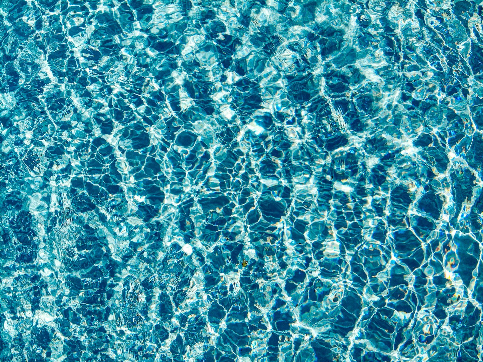 Overhead view of blue pool water and tile pattern in Toorak Melbourne