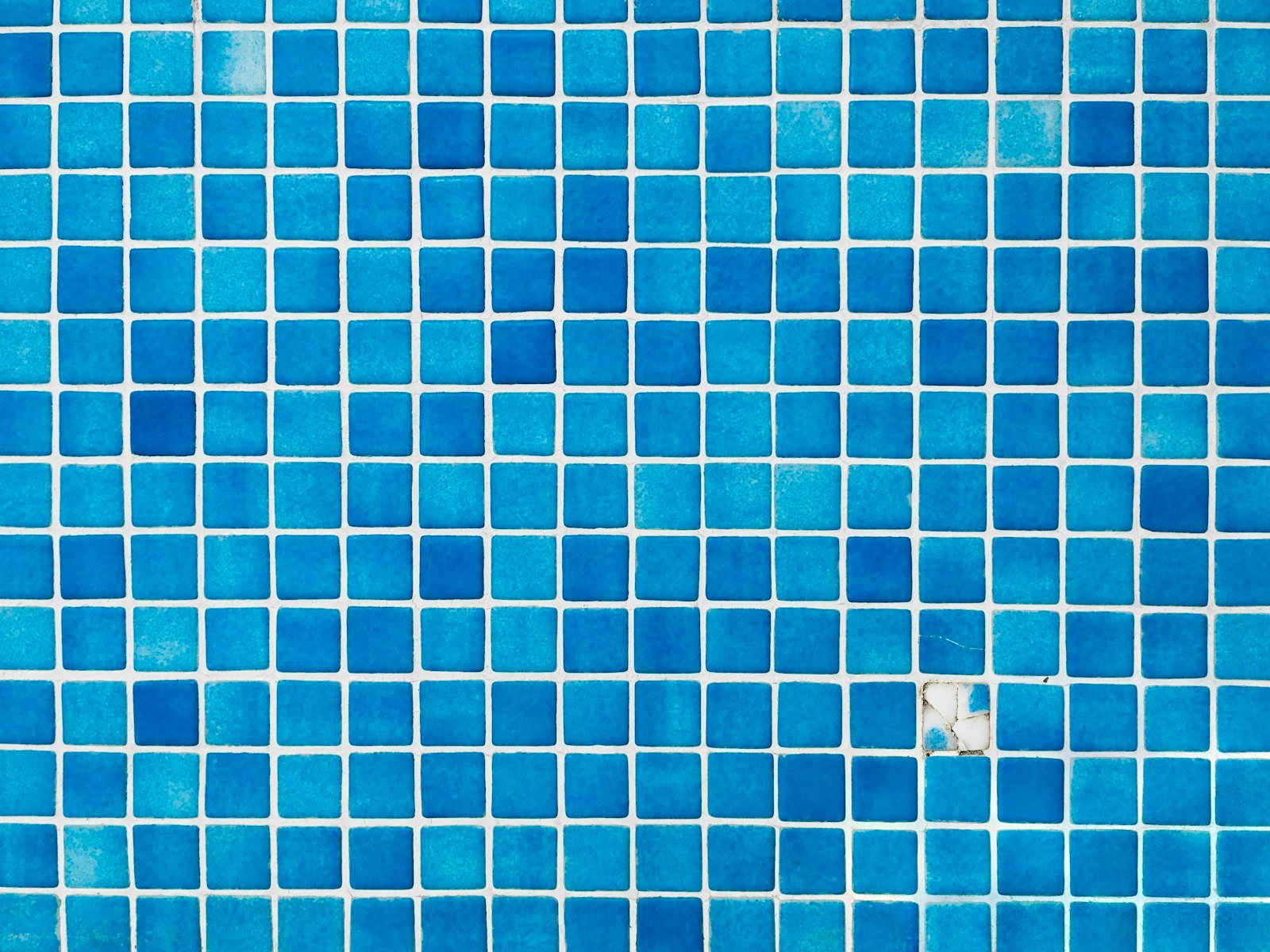Close-up of blue pool tile wall detailing in South Yarra